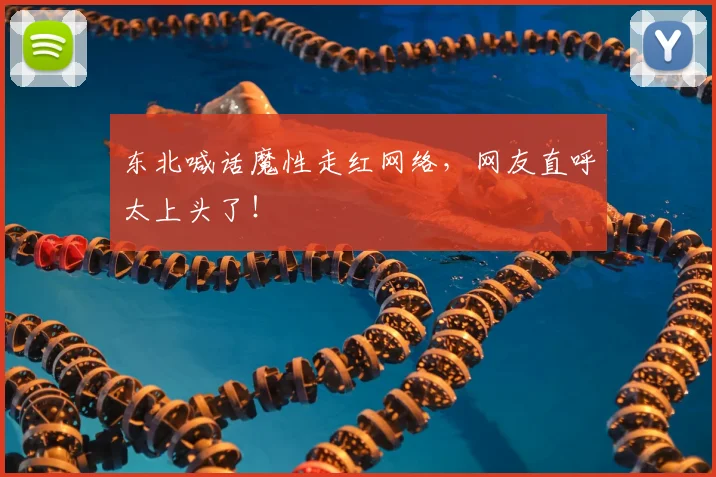 东北喊话魔性走红网络,网友直呼太上头了!