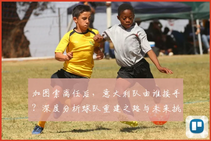 加图索离任后，意大利队由谁接手？深度分析球队重建之路与未来挑战